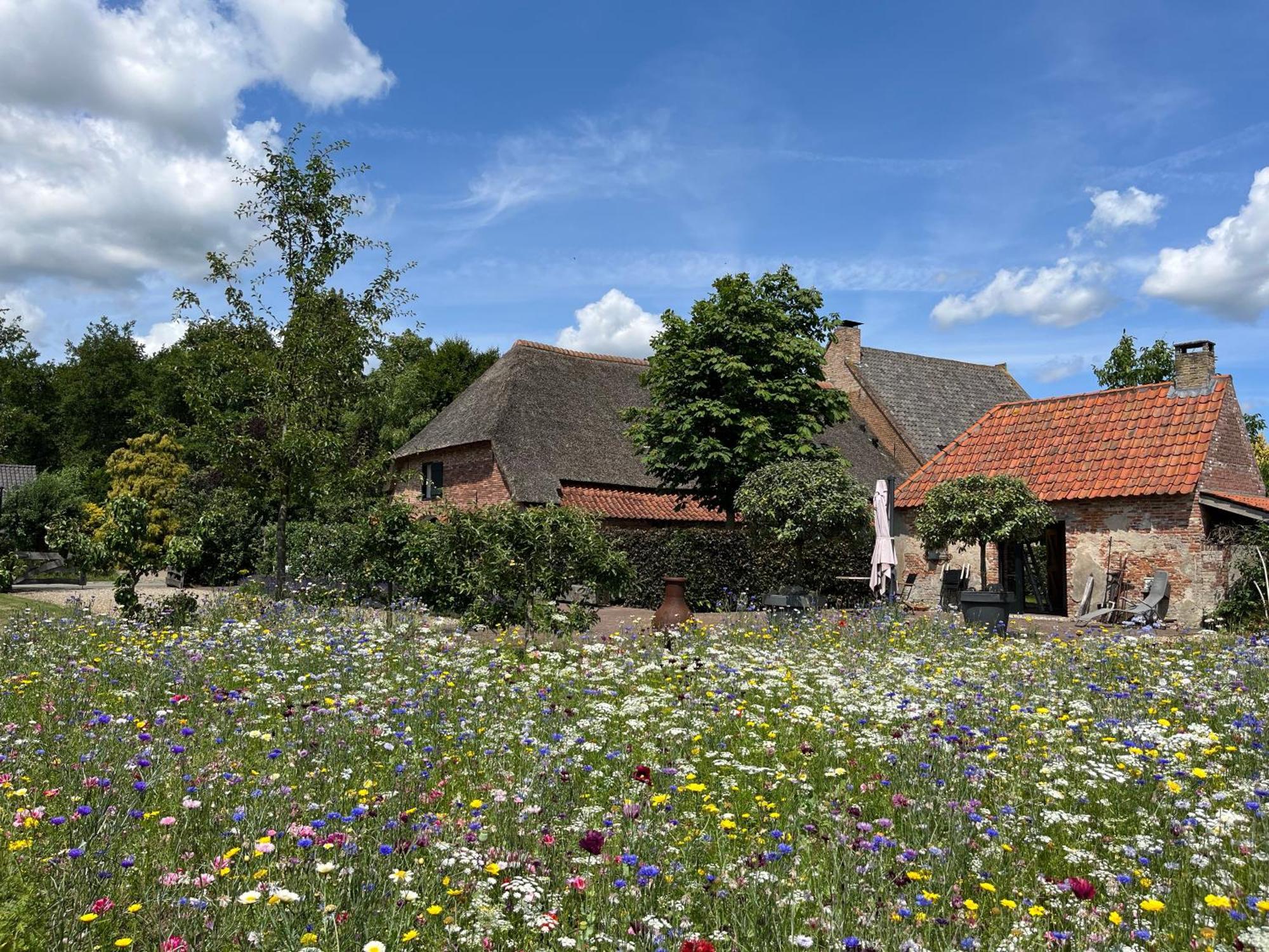 Den Eijngel Bed And Breakfast Boxtel Eksteriør billede